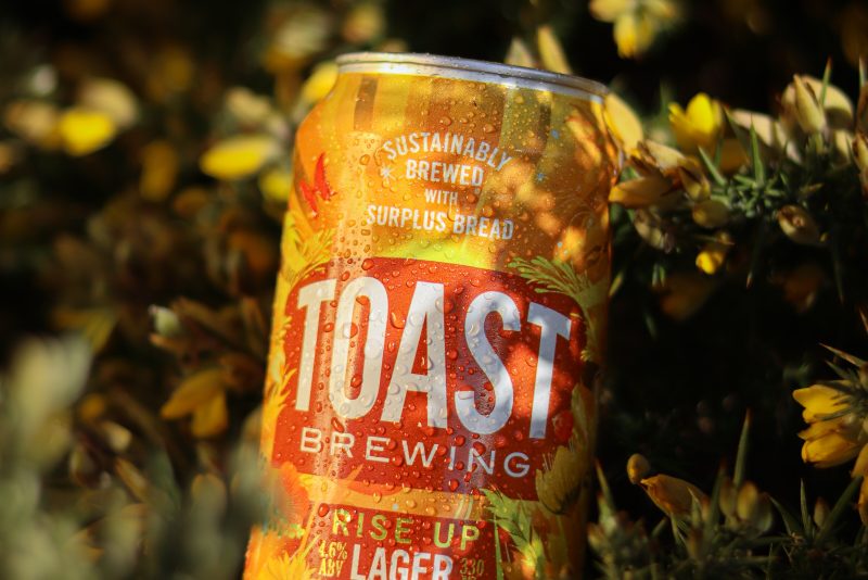Toast Brewing